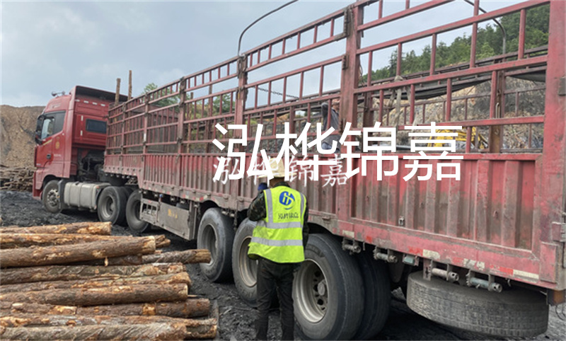 定安河道仿松木樁施工，打造環(huán)保生態(tài)水域