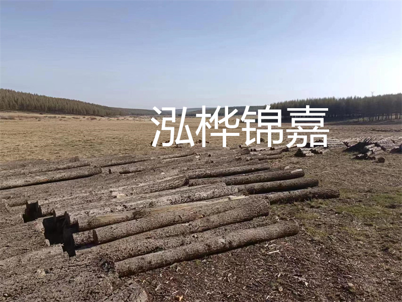 以質(zhì)量為導(dǎo)向，探索實用性與高效性——仿松木樁施工機(jī)械價格